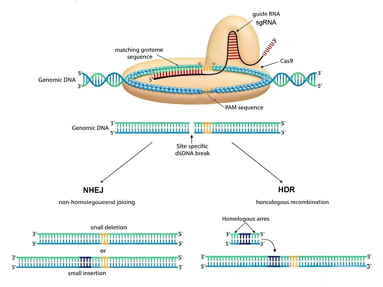 1766538311121098.jpg 1766538311121098.jpg