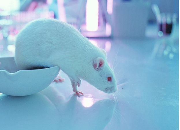 细胞生物学